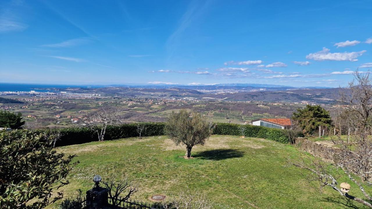 Apartma Panorama Marezige Dış mekan fotoğraf